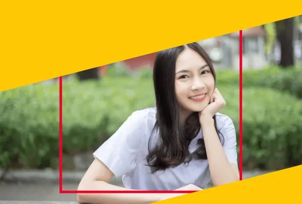 หลักสูตรปริญญาตรี